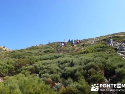 Travesía por la Sierra de la Maliciosa - Senderismo Madrid; senderisme